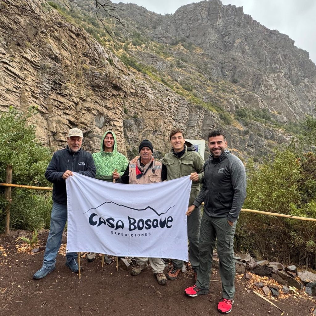 Diseño sin título