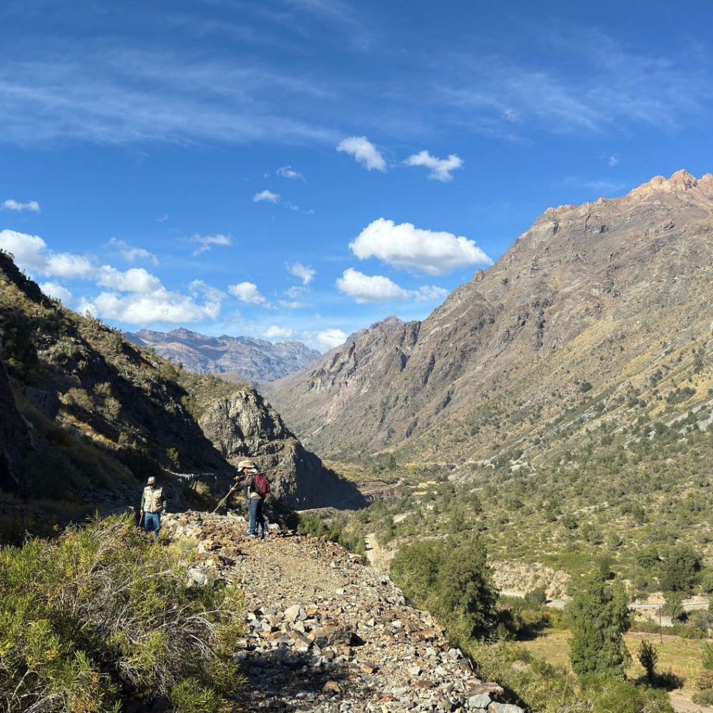 Diseño sin título10