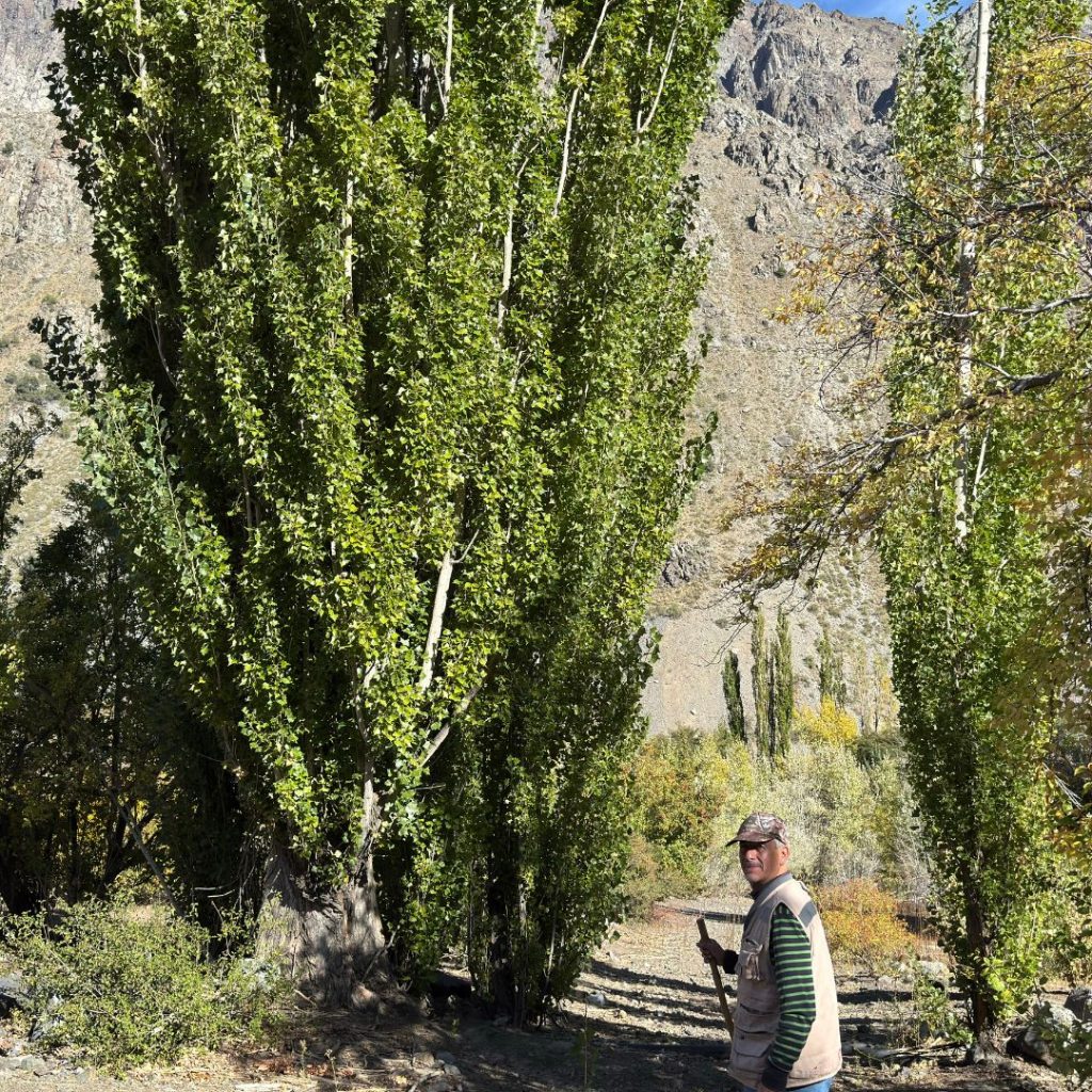 Diseño sin título14