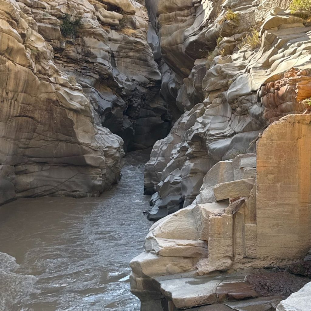 Diseño sin título2