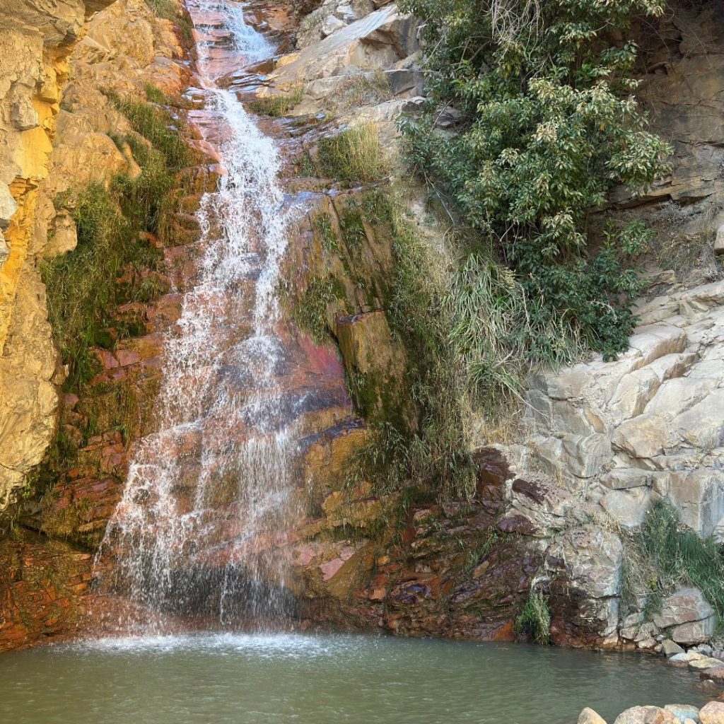 Diseño sin título3