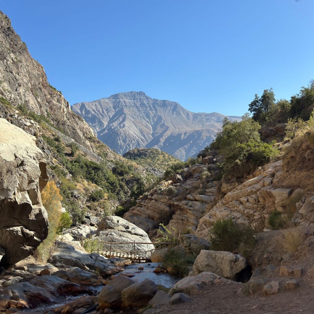 Diseño sin título4