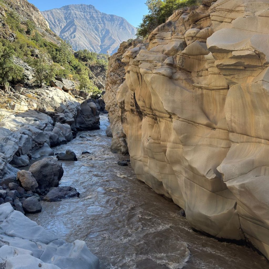 Diseño sin título5