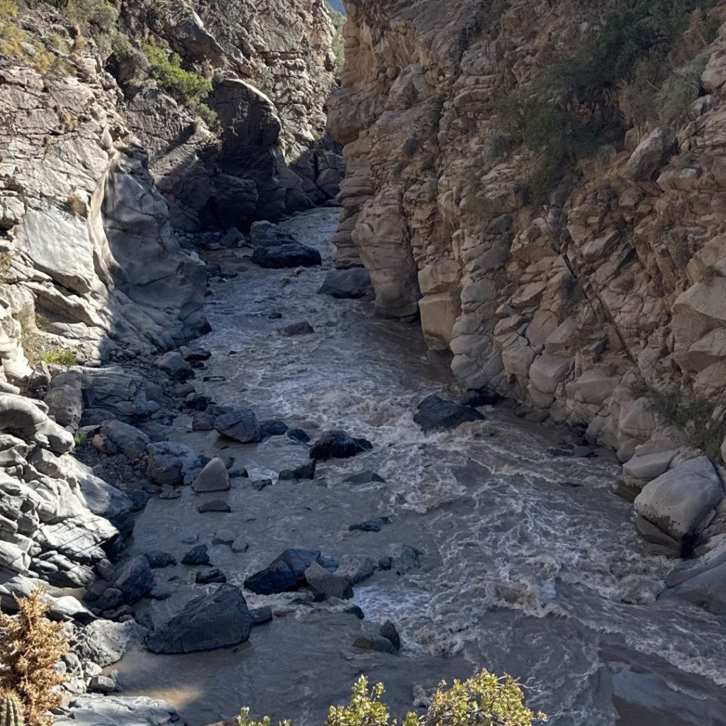 Diseño sin título6