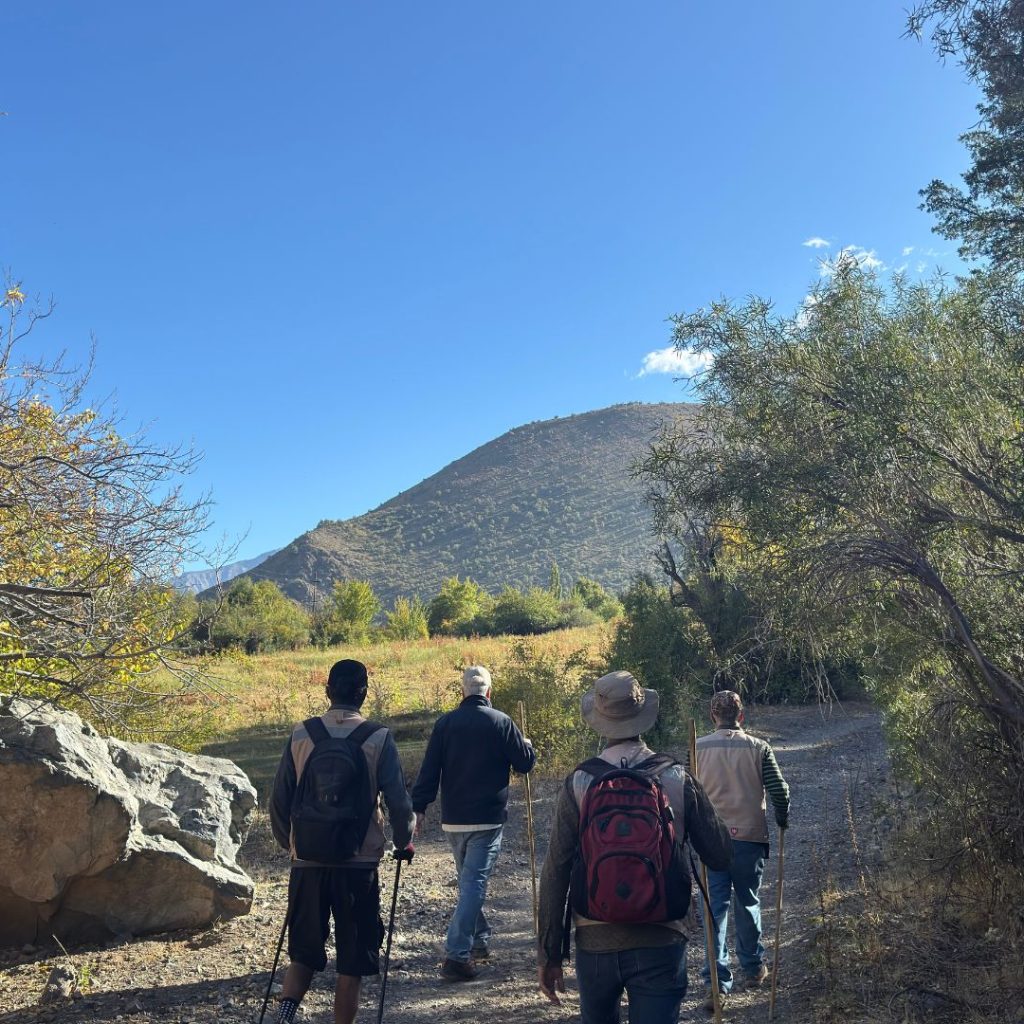 Diseño sin título8